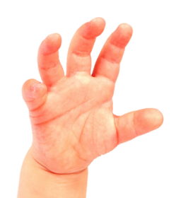 Newborn baby hand reaching upward.